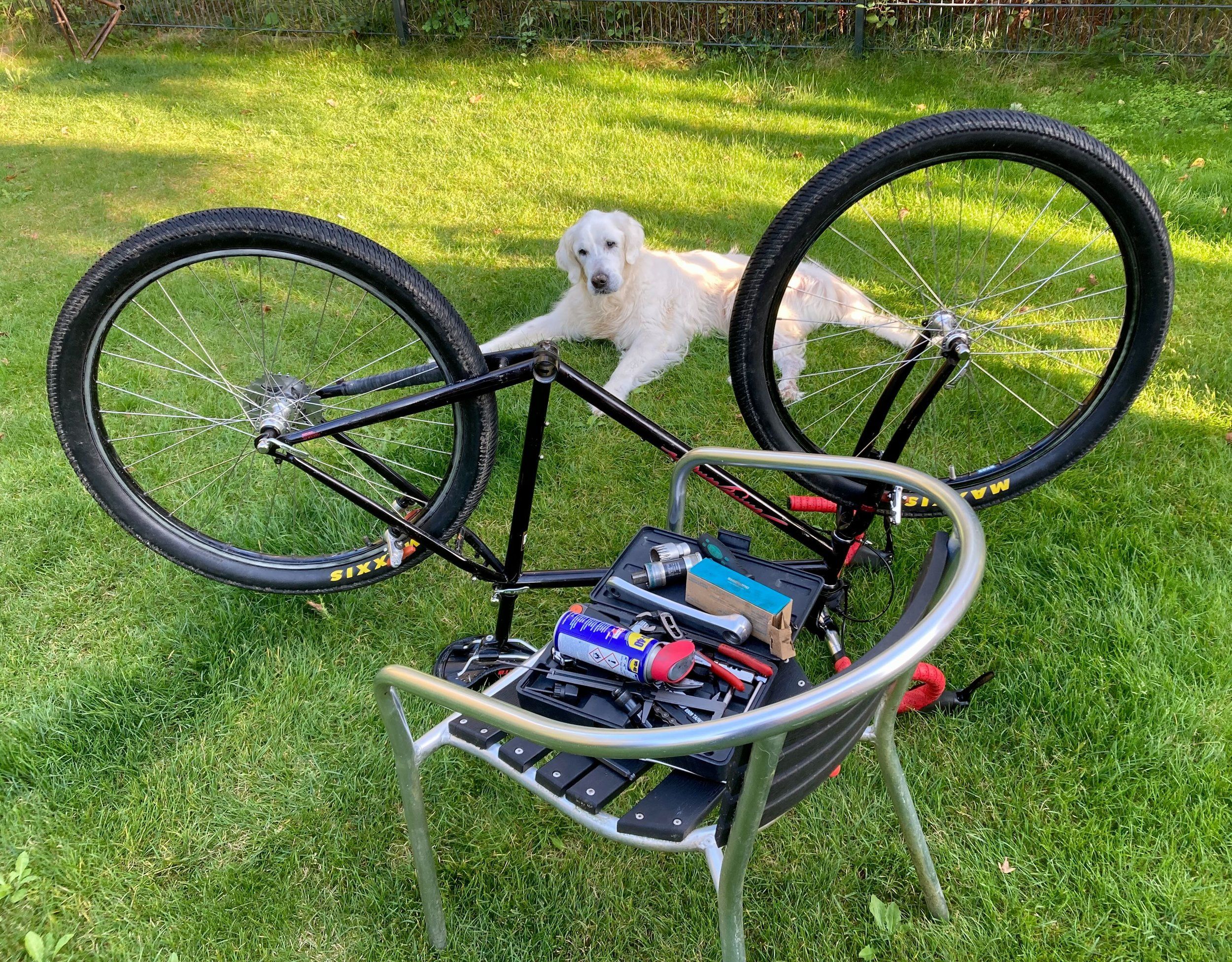 Specialized-Stumpjumper - 1 (1).jpeg