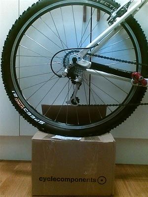 speedking.jpg ht=400