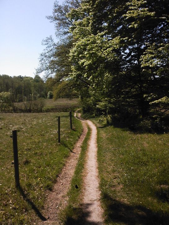 SPM_A0071.jpg ht=725