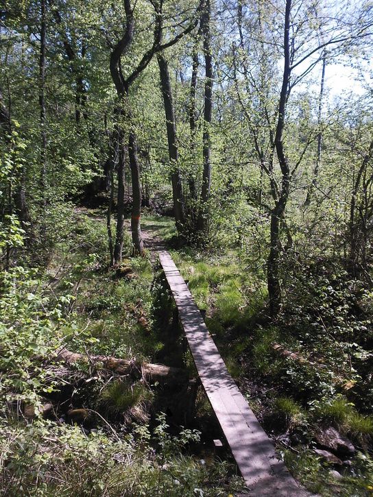 SPM_A0094.jpg ht=725