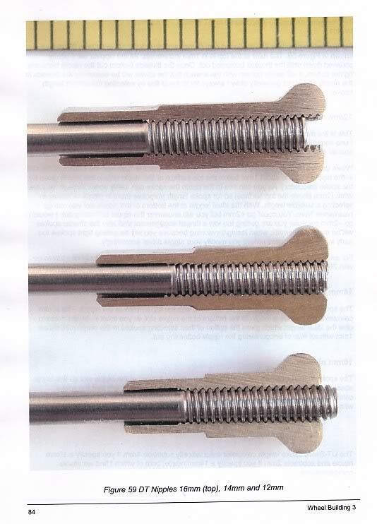 SpokesandNipples.jpg
