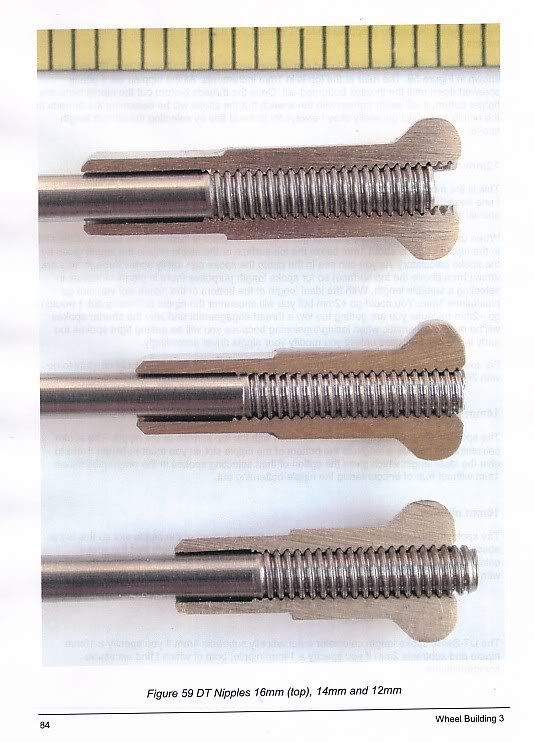 SpokesandNipples.jpg