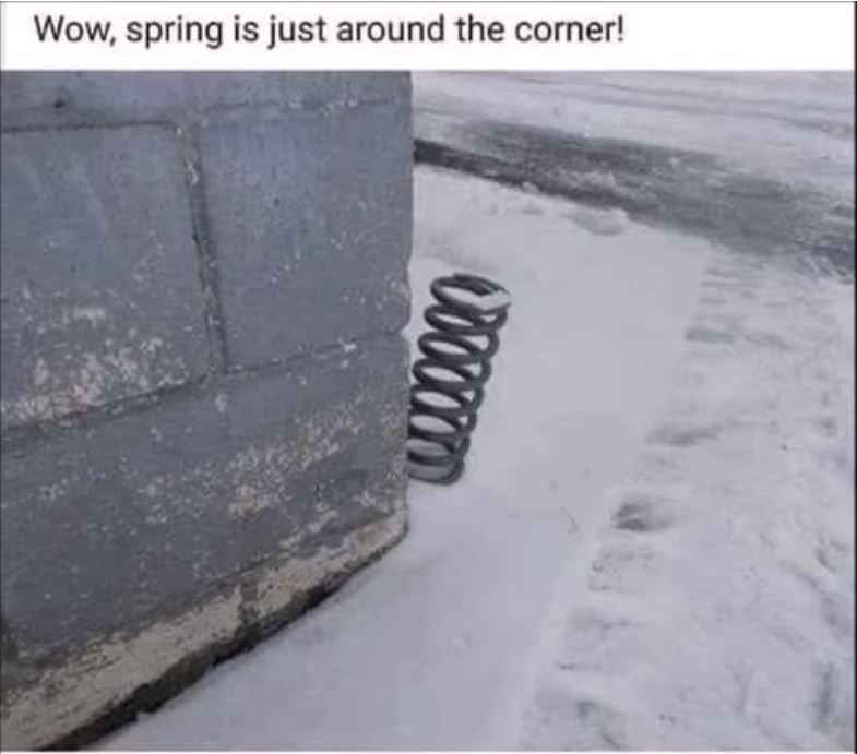 Spring.JPG