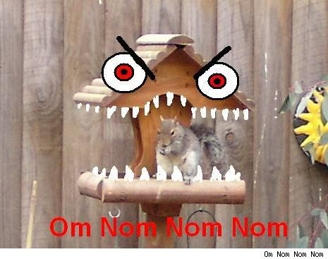 squirrelnomnom-omnom-456-042209.jpg ht=367