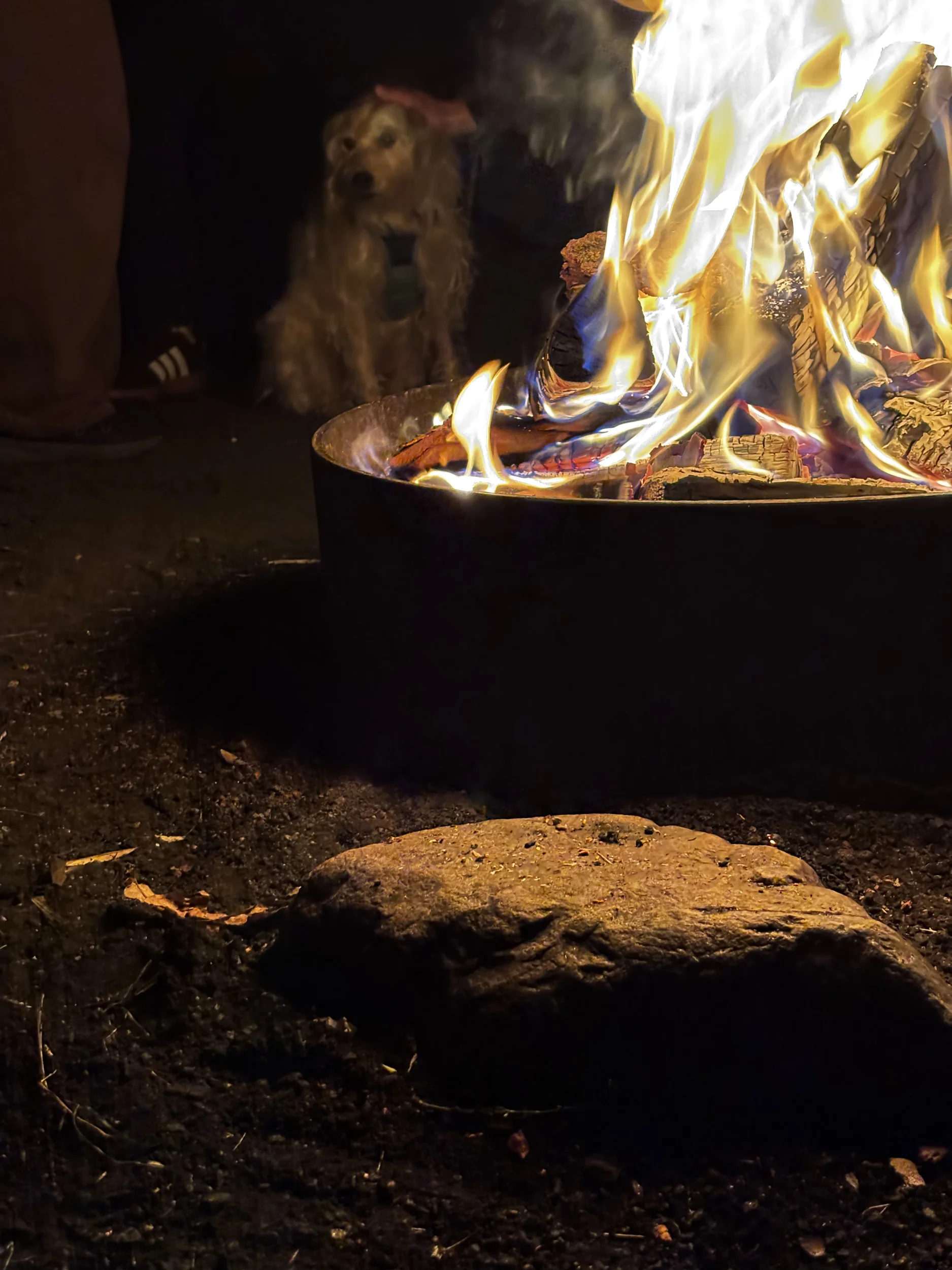 SSSMÖ.webp