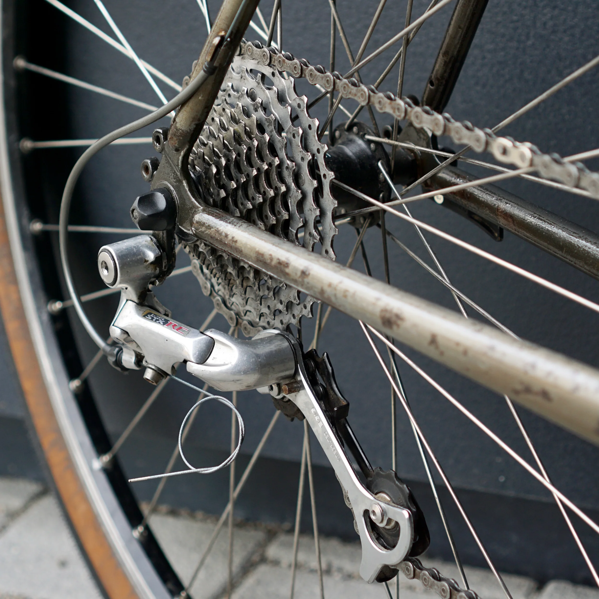 Staiger-FirstRide-14.06.2026 - 1 (11).webp
