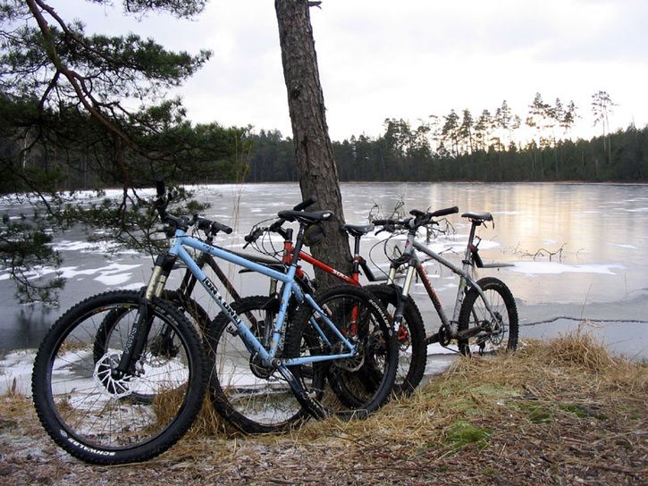 steelisreal.jpg ht=544