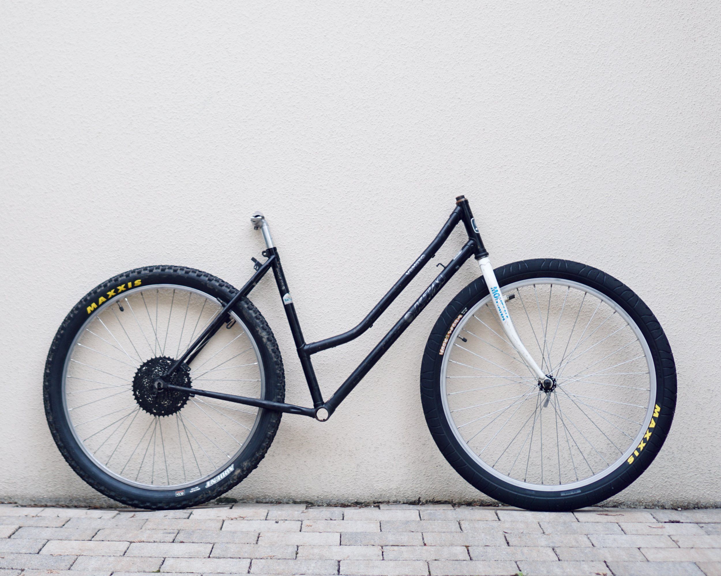 Stepthrough-Lowrider - 1.jpeg