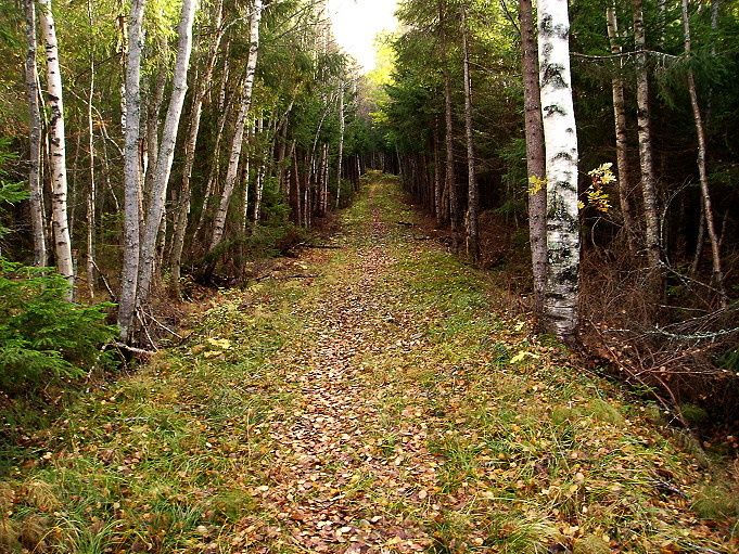 stigen.JPG ht=511
