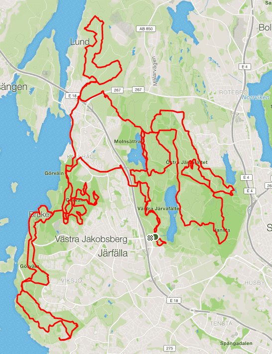 stockholmsvasan.PNG