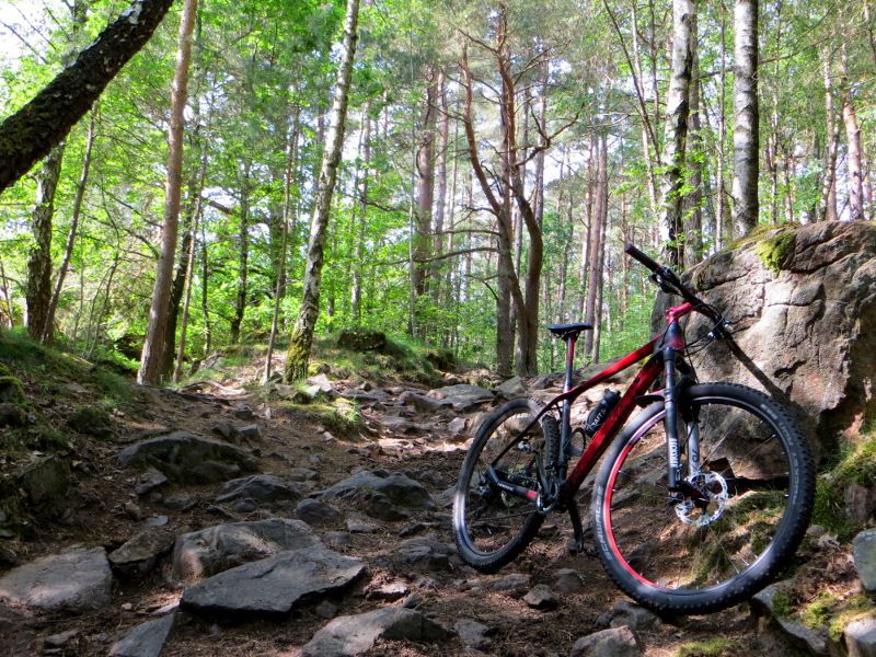 stonerocks_bike_small.JPG