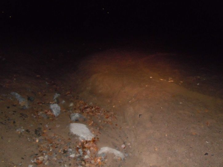 strandeniflaten.JPG ht=544