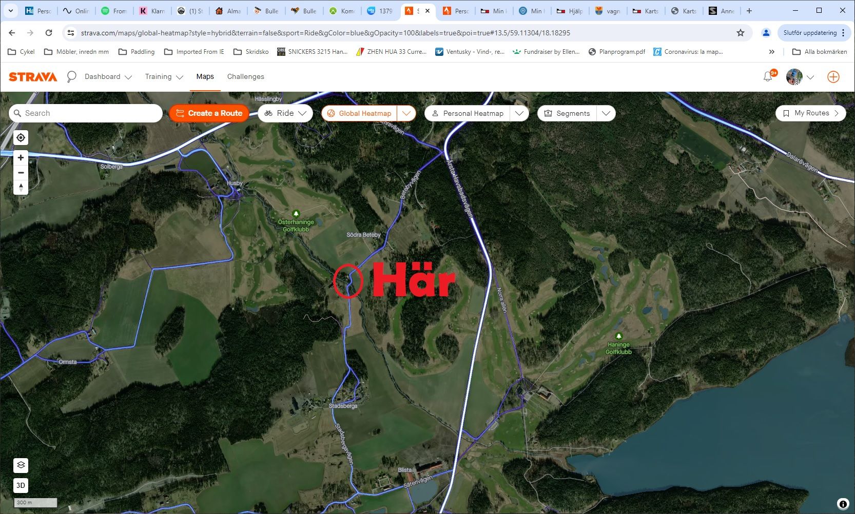 Strava Heatmap Beteby.jpg
