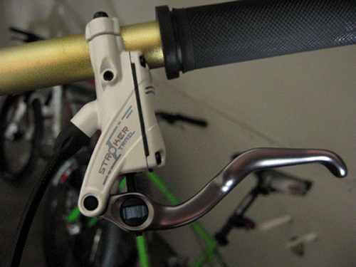 stroker1.gif ht=375