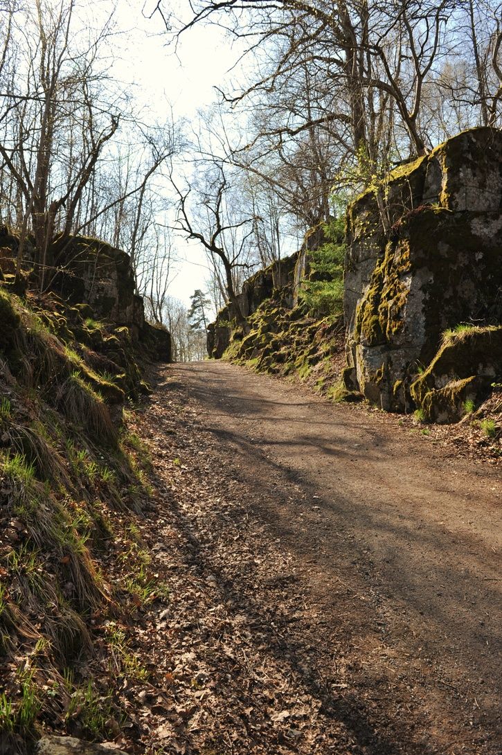 strupen3.JPG