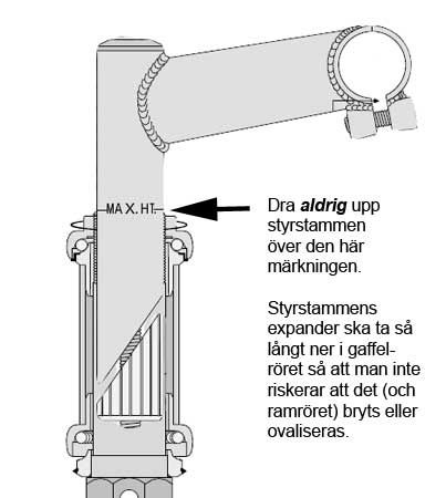 styrstam.jpg