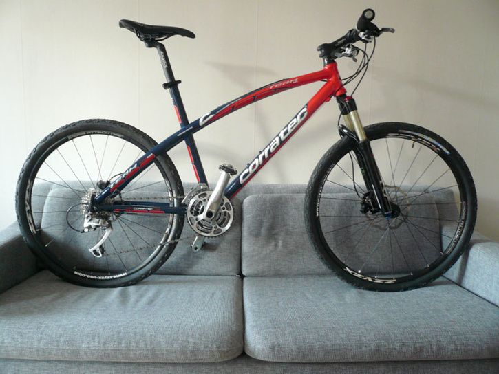 superbowteam.jpg ht=544