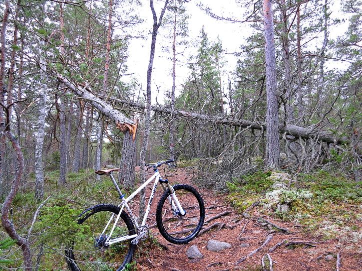 Surdeg-06.jpg