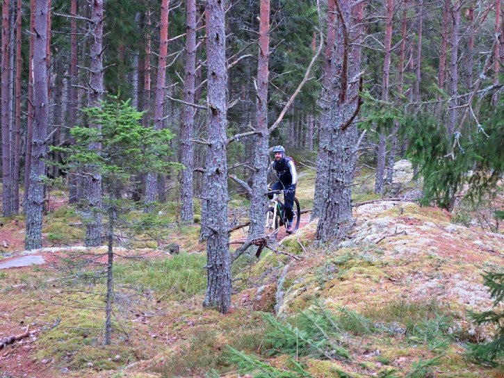 Surdeg-07.jpg