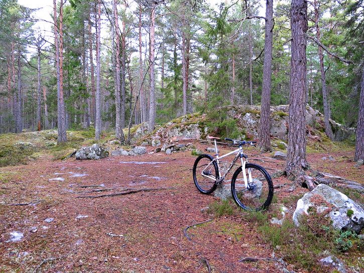 Surdeg-12.jpg