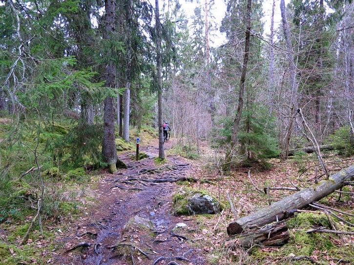 Surdeg-14.jpg