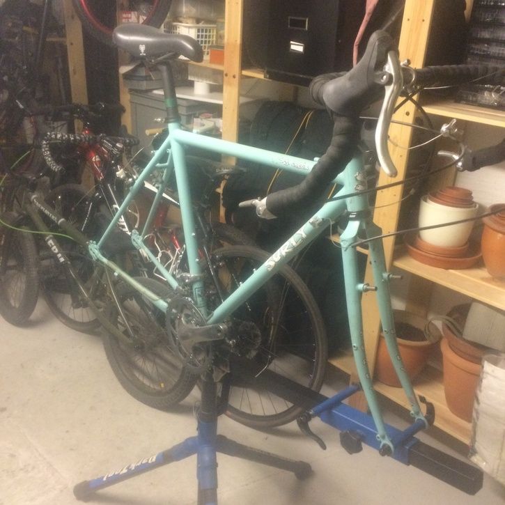 Surly.jpg