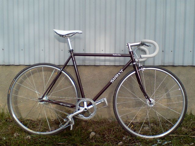 surly.jpg ht=480