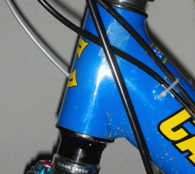 SVadapt.gif ht=250