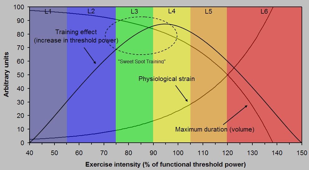 sweetspot-training.jpg