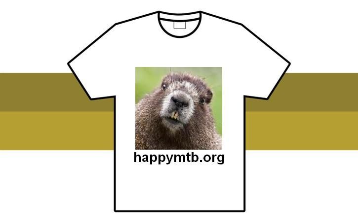 t-shirt_tavling_2.JPG