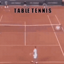 table-tennis.gif