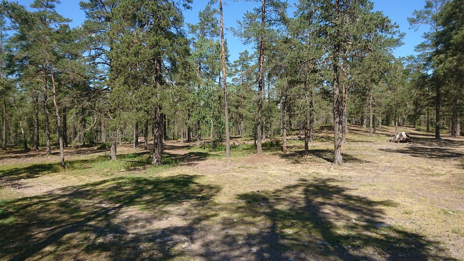 tallmo_vattenkraftsvagen-jpg.423402