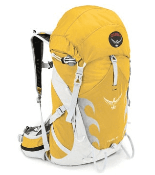 talon_gul.png ht=359