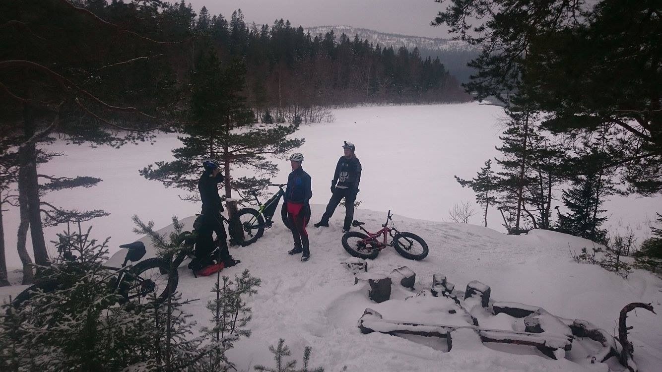 Trnttholmarna-fatbike.jpg