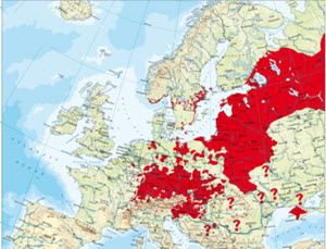 tbe-eu.jpg