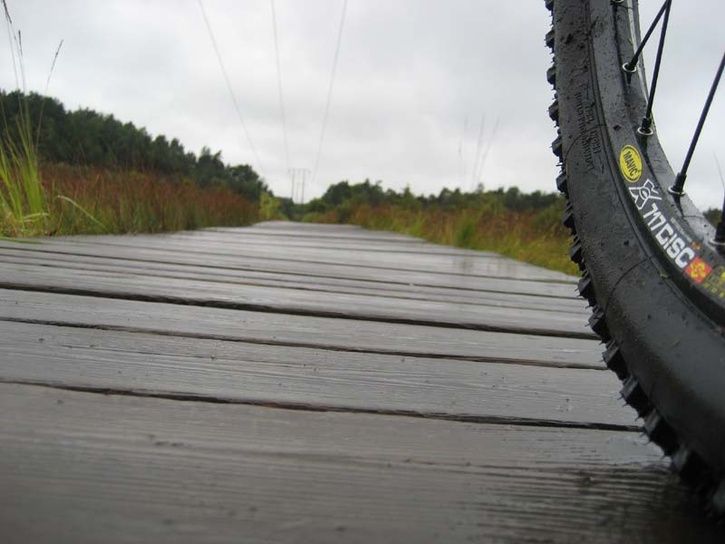 TdG2007_Hjul.jpg ht=544
