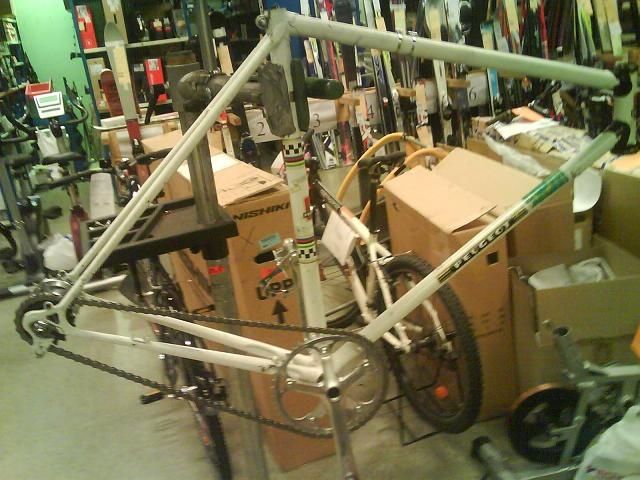 TEEEEEEEMP285.JPG ht=480