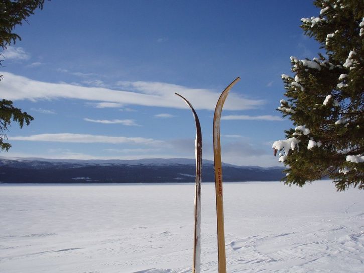 tegsnaset.JPG ht=544