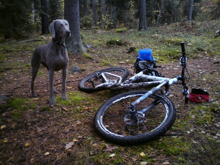 telefon039.JPG ht=544