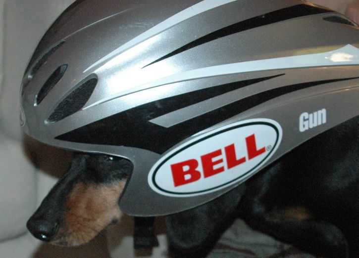 Tempohund.jpg ht=522