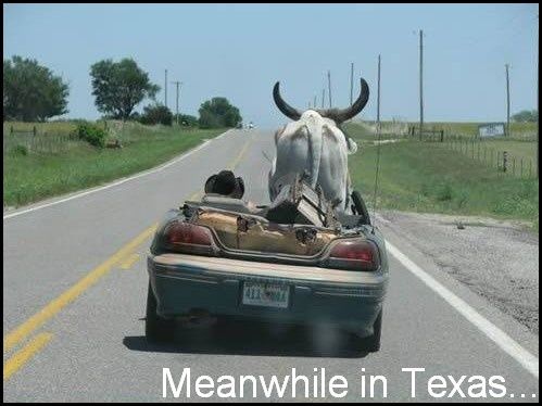 texas.jpg ht=374