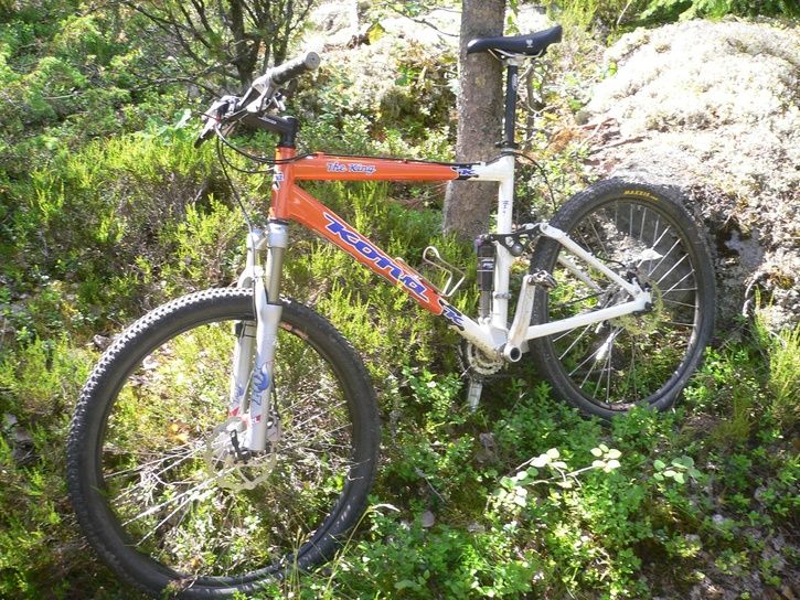 theKing0001.JPG ht=544