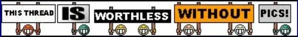 This-Thread-Is-Worthless-Without-Pictures.webp