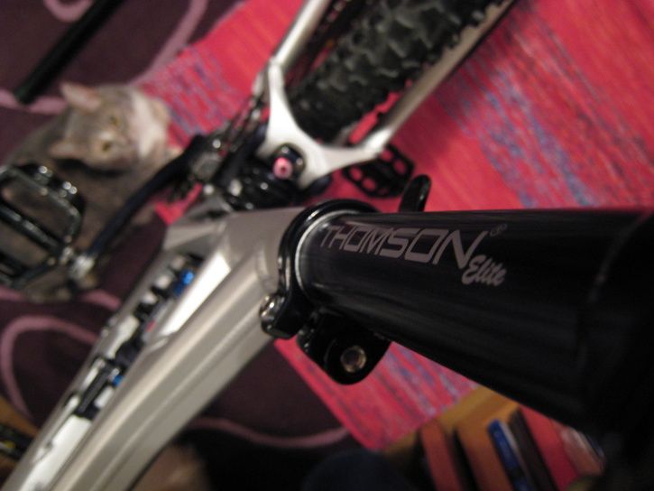 thomson_elite004.jpg ht=544