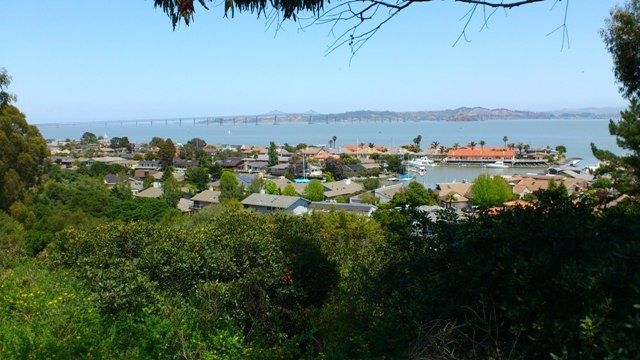 tiburonby.jpg