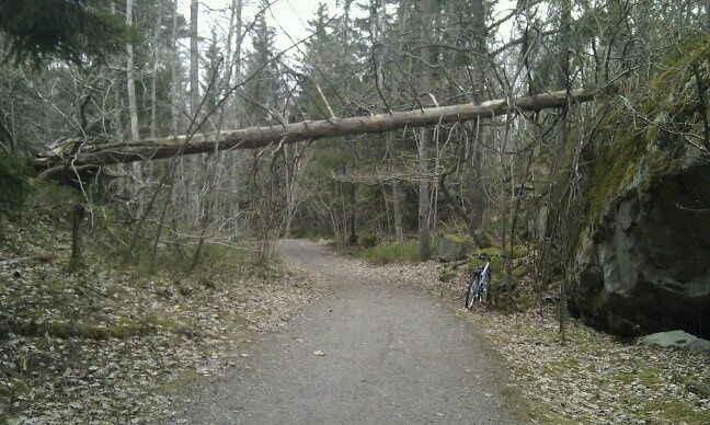 timmmbeeeer.jpg ht=388