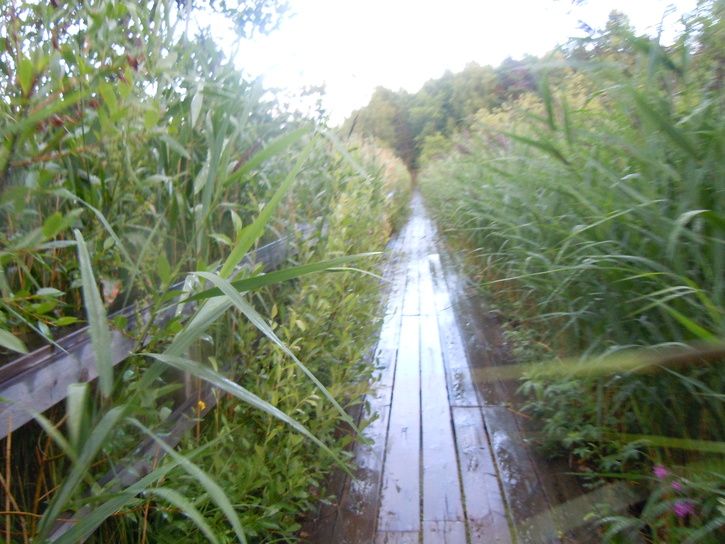 tisdagscross004.JPG