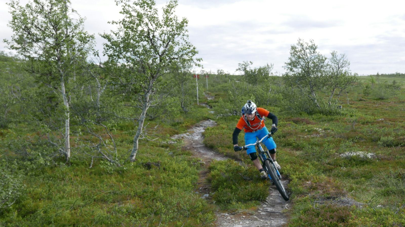 tmp_11998-2016-07-1422.54.45-777104433.jpg