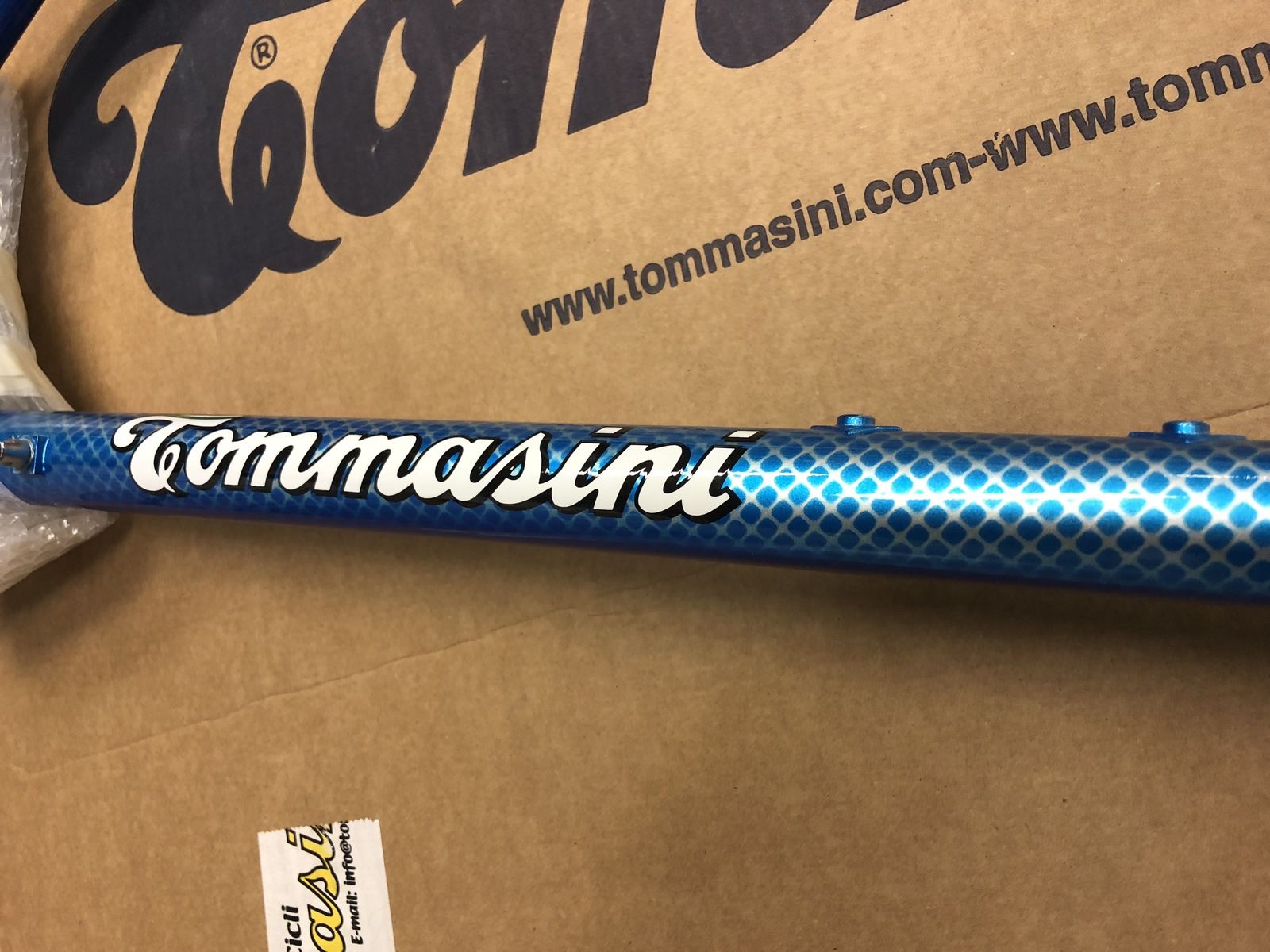 Tommasini1.jpeg