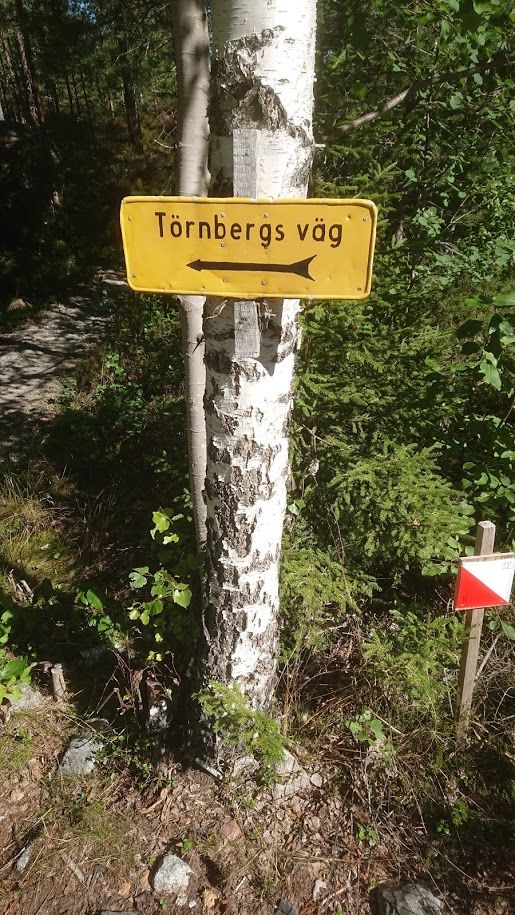 Törnbergs_väg.JPG